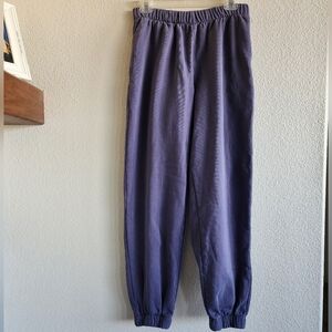 Brandy Melville John Galt Gray/purple Sweatpants Joggers